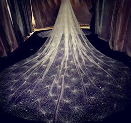Vintage 2019 Sparkling Golden Wedding Veils 3M Long Wedding Weddal Hair Accessors Accesorios de boda Velo de dama de honor AC1225082