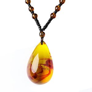 Vintage Amber Fossil Necklace Water Drop Insect Pendant Rope Chain Hip Hop Ketters For Men Insect Jewelry Party Jubileum Gift