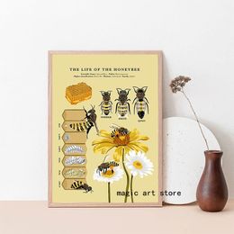 Vintage Ancient La vie de l'abeille insectes naturels biologie Affiche art toile peinture mur imprimé image décor
