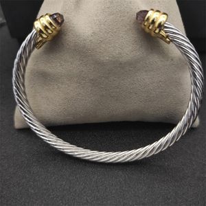 Vintage bangle designer luxe sieraden ronde kabel draad dy diamanten armband klassieke bruiloft designer armband mannen vaders dag vakantie geschenken zh153 E4