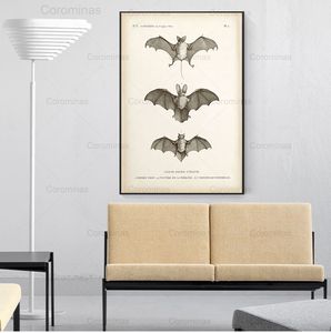 Vintage Bat Imprimé Halloween Wall Art Canvas PEINTURE APPIRITÉ ANIMAL ANTIQUÉ