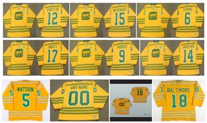 1974 WHA Vintage Chicago Cougars Hockey Jerseys 6 REGGIE FLEMING 12 PAT STAPLETON 17 LOU ANGOTTI 15 ERIC NESTERENKO 14 Ralph Backstrom Yellow Retro