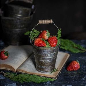 Vintage Anglais En Fer Forgé Portable Pots De Fleurs Vieux Pays Français Rétro Fleur Seau Alimentaire Pographie Props Décor À La Maison 210615