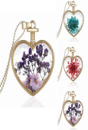 Vintage Forgetme flores colgante collar en forma de corazón vidrio prensado joyería fina estilo verano Collares largos Necklace3505894