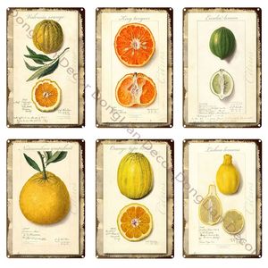 Vintage Fruit Orange Citron Nourriture Métal Peinture Restaurant Chambre Plaque Vintage Tin Sign Rétro Métal Signe Décoratif Plaque Décoration Murale 20cmx30cm Woo