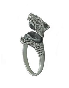 Vintage verzilverde ringen voor mannen Compartiment medailleg Coffin Ring Punk Fashion Viking Guard Animal Jewelry Party Gift ClusterChum2196421