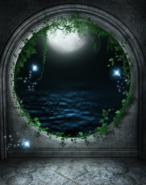 Vintage mur de pierre fenêtre ronde conte de fées photographie toile de fond feuilles vertes libellule elfes nuit lune Photo fond pour Studio
