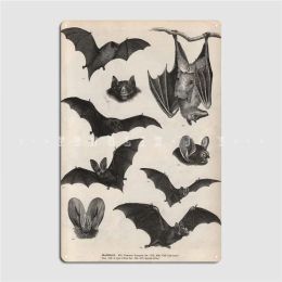 Vintage Victorian Bat Illustrations Metal Sign Club Home Cave Pub Designing Plates Tin Sign Posters