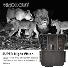 VisionKing Night Vision Trail Hunting Camera Wildlife Photo Trap voor beveiliging Outdoor Night and Day Camera Trap voor jagen 10MP 720p Hunting Trail Wild Camera