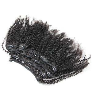 VM Braziliaanse afro kinky krullende clip in menselijke hair extensions 7 stks / set 4b 4c clips in hair extensions 100g 120 g 160g vmae haar