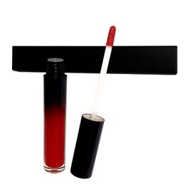 VMAE 2021 Groothandel Hot Selling Custom Logo Lady 12 Kleuren Langdurige Waterdichte Square Tube Lip Gloss voor jonge meisjes