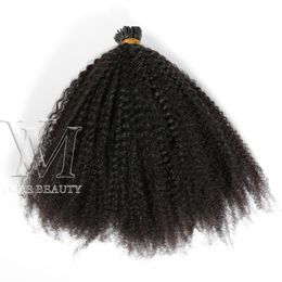 VMAE 4B 1g/s 100g indien malaisien Remy vierge I Tip Extensions de cheveux bâton pré-collé kératine