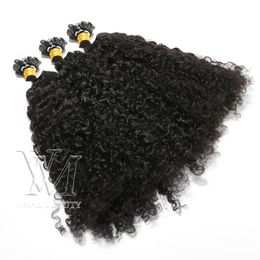 VMAE NATUURLIJKE KLEUR KERATIN VIRGIN 1G/S 100S Pre-Bonded Top Grade 11a Custom Kinky Curly Flat Tip Human Hair Extensions