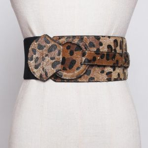 Ceinture de chaîne de taille de piste de mode léopard faux cuir Cummerbunds femme robe manteau Corsets ceinture décoration large ceinture R1752 230825