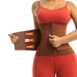 Ceinture d'entraînement à la taille pour femmes, coupe-taille, ceinture amincissante, ceinture de sport