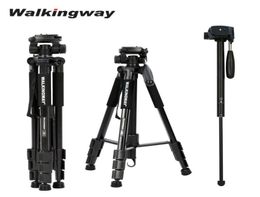 Walkingway Q222 Draagbare Camera Statief Aluminium Reizen Tripode Monopod voor Pography Video Digitale SLR DSLR Camera 2103178085926