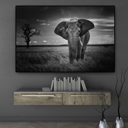 Wall Art Wild Animals African Elephant Canvas schilderen zwart -witte posters en prints muur foto woonkamer cuadros decor