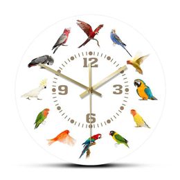 Wall Clocks Collection of Bird Soorten modern zonder teken Tiken Kijk Parrot Pet Pet Exotic Art Lover Home Decoration Q240509