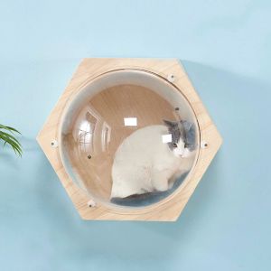 Bois mural chat coque lit chat arbre tour espace capsule chat grimpant chattre jouet jouet escalade