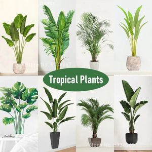 Stickers muraux 16 styles grandes plantes vertes tropicales feuilles de palmier PVC salon art vinyle affiche papier peint décoration murale 231019