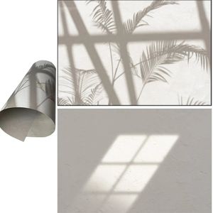Pegatinas de pared 55x42 cm Impresión 3D Palm Shadow Sunshine Ventana Agua Lados dobles Fondos de pared blancos para cámara Po Studio 231026