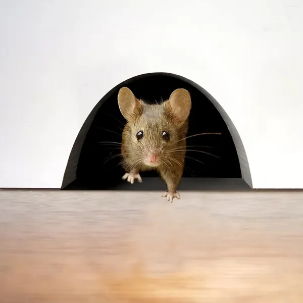 Autocollants muraux de souris 3D réalistes, décalcomanies dans un trou, adaptées aux autocollants muraux intérieurs ou extérieurs pour les chambres d'enfants