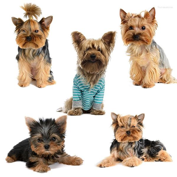 Pegatinas de pared Three Ratels QD102 HD Pixel lindo Yorkshire Terrier pegatina de perro impermeable Auto Wrap para capó de coche Laptop decoración del hogar