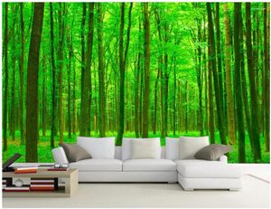Wallpapers 3D-kamerbehang op maat Po HD Sunshine Forest Living TV-muurschildering muurschildering voor muren