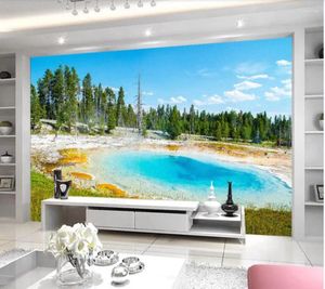 Fondos de pantalla 3D Papel tapiz Mural Decoración Po Telón de fondo Azul Primavera Piscina América del Norte Paisaje Escena real Fondo Pintura de pared