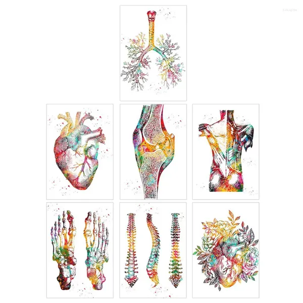 Fondos de pantalla 7 PCS Póster del cuerpo humano Decoración retro Obra de arte para paredes Ciencia Educación Lienzo Oficina