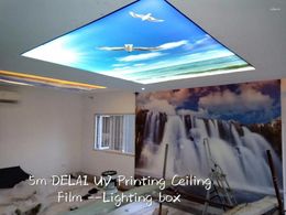 Fonds d'écran Ciel bleu avec harpon de film de plafond d'impression de pigeon
