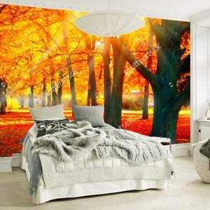 Fondos de pantalla Papel tapiz de paisaje natural personalizado. Luz del sol a través del bosque 3D PO Mural para sala de estar Dormitorio Papel tapiz de PVC