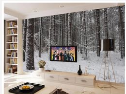 Fonds d'écran Fond d'écran personnalisés pour murs Snow Forest 3D TV Fond.