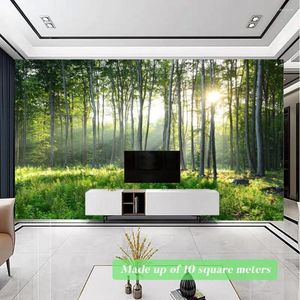 Fondos de pantalla Bosque verde Sol Papel tapiz personalizado Tamaño grande Sala de estar Dormitorio Pasillo Fondo Mural de pared Tienda de casa Decoración