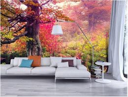 Wallpapers Home Decoratie Maple Forest Beauty HD Pographic Images TV Backdrop Mural 3D Wallpaper