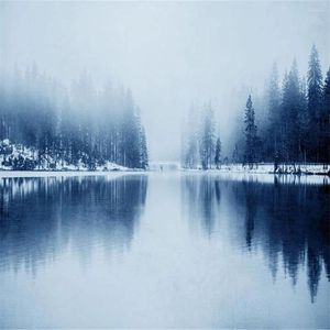 Fonds d'écran modernes minimalistes Forest Lake Snow Mountain Landscape Fond