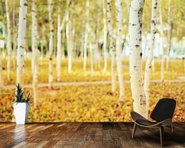 Fonds d'écran Papel De Parede Automne Forêt De Bouleau Paysage Naturel 3D Papier Peint Mural Salon TV Mur Chambre Papiers Décor À La Maison