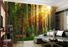 Wallpapers Sun Forest Mural Po Wallpaper Contactpapier voor woonkamer Slaapkamer 3D Wall Murals Papers Luxe Home Decor Custom