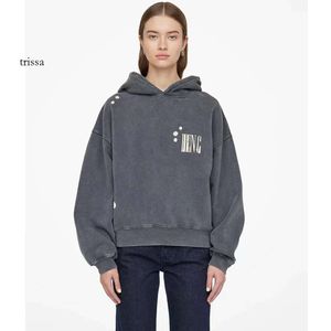 wang tracksuit womens 22 Automne/Hiver Nouveau Nordique Femmes AB Classique Lettre Imprimer Lavage Vieille Neige Sauté Couleur Pull À Capuche Lâche