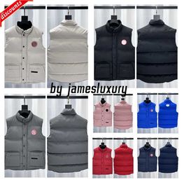 Corps chaud chaud Gillet Mens Gilet Designer Vest Bodywarmer Weste Goose Reporter Stand Stand Park Grooseberry Awful