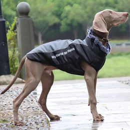 Ropa cálida para perros y mascotas con arnés, abrigo impermeable, chaleco para interior o exterior, traje reflectante, cómodo, adecuado 265i