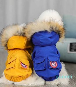 Vêtements chauds d'hiver pour chiens, manteau pour animaux de compagnie, veste pour petits