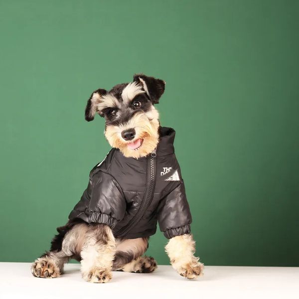 Chaud chiens vestes chien visage concepteur chien vêtements hiver épais coupe-vent animaux vêtements pour petit moyen grand Schnauzer bouledogue français noir