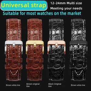 Watch Bands Socle en cuir crocodile avec plusieurs tailles Femmes 12 mm 13 14 15 16 17 18 19 20 21 23 24 mm Mentille Universal Watch 240424