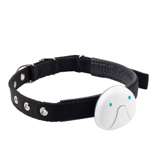 Montres Anti Lost Disvice Anti Tracker vol Antilost Mini GPS Locator WiFi Positionnement Tracker Child Dog Cat Anti Lost Device
