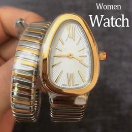 Montres de haute qualité pour femme de luxe en argent montres montres de surveillance des femmes montres de 20 mm en acier inoxydable watchstrap gold quartz mouvements de serpent montres