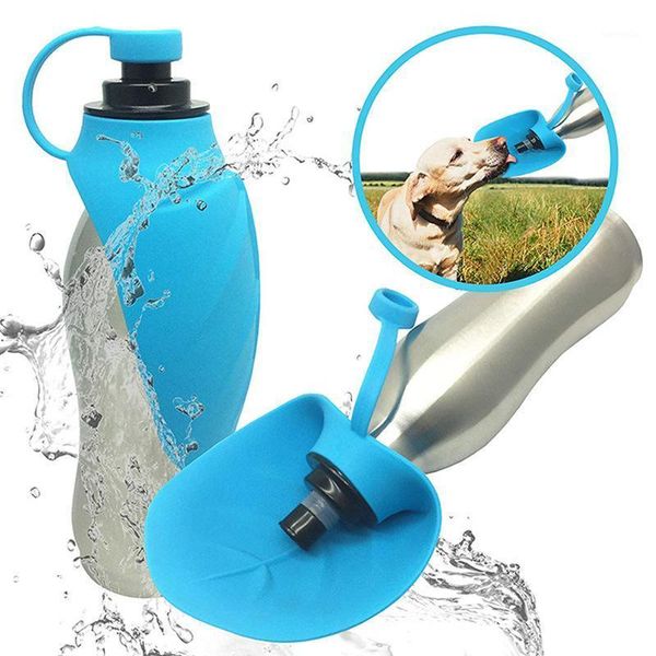 Bouteille d'eau durable sport portable pour chien en acier inoxydable en acier inoxydable du distributeur de détenteurs de compagnie dans les accessoires de marche d'entraînement