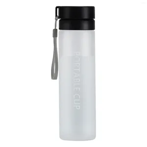 Bouteilles d'eau 2024 800 ml bouteille sportive portable grande capacité exquise tasse d'été glace cruche de haute qualité personnalisée de haute qualité