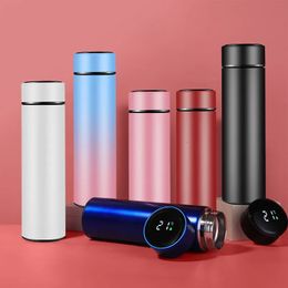 Bouteilles d'eau 500ML créatif intelligent LED Thermos bouteille affichage de la température flacons sous vide tasse en acier inoxydable 231130