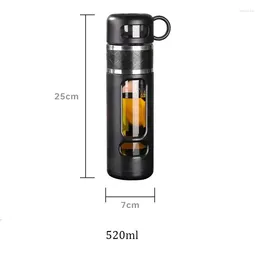 Bouteilles d'eau 520 ml de thé avec filtre borosilicaté de séparation de verre tasse de filtrage portable gobelet